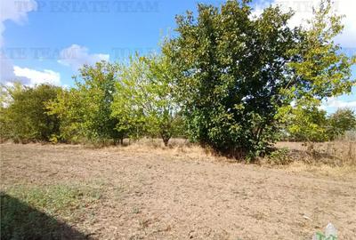 Teren de 1235 mp, în Petrăchioaia - 9