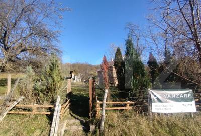 Teren 300 mp + Cabana,zona Livezile,Valea Lunga - 2