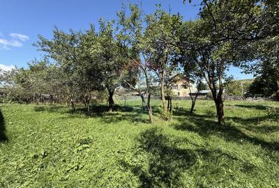 Casa la tara | Calatele | Teren 2100 mp | Exclusivitate | Comision 0% - 6