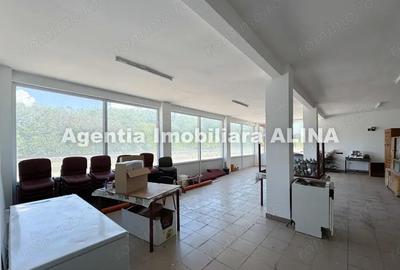 Spatiu comercial spre iesire din Loc. Deva (spre Mintia) zona Izvorul Decebal, Jud. Hunedoara. - 2