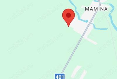 Teren de 2800 mp, în Vidra