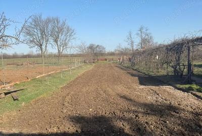 Casă cu 2 camere cu Teren 1500 Mp în Central - 3