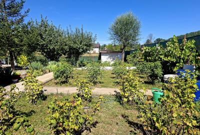 Casă individuală cu 4 camere cu Teren 1000 Mp în Bascov - 24