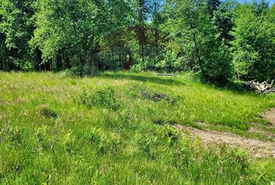 Spațiu comercial, în Hoteni - 5