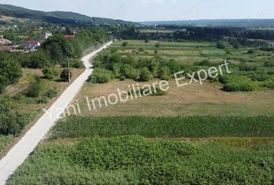 Teren de 8229 mp, în Băiculești - 9