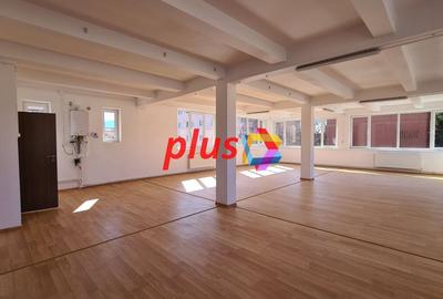 Spatiu comercial - 450 mp - 7