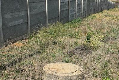 Teren de 1165 mp, în Paleu - 2