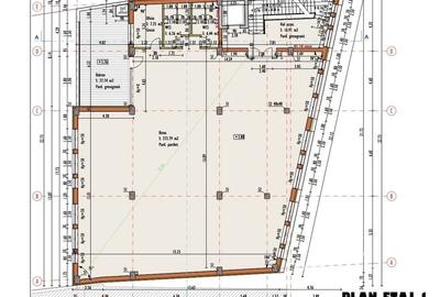 Imobil versatil cu functiuni mixte zona P-ta Mihai Viteazul - 27
