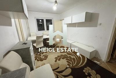 Apartament cu 2 camere în Șagului