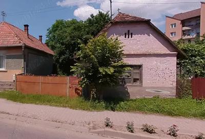 Sovata oras, strada Principala, casa de caramida si teren 600 mp - 3