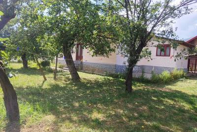 Teren de 6800 mp, în Polovragi - 4