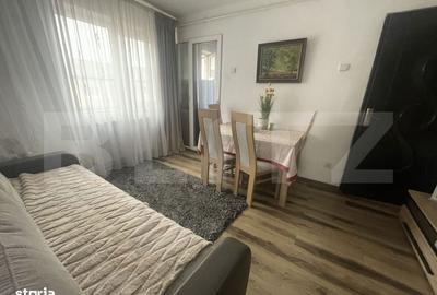 Apartament cu 2 camere semidecomandat în Stana - 10