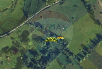 Teren Bor?a / Strada Randunelelor langa Biserica - 3