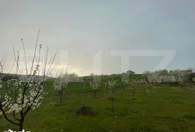 Teren de 4447 mp, în Pielești - 3