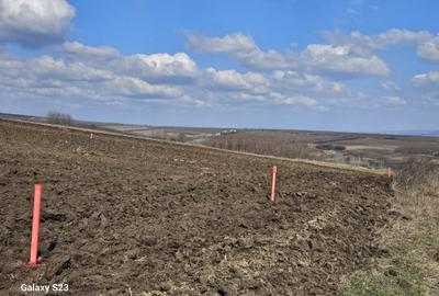 Teren de 800 mp, în Moara Grecilor - 3