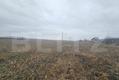 Teren extravilan 9000 mp, Ocna Mures - 2