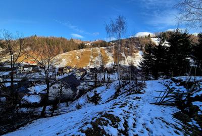 Teren intravilan Simon/Bran, 4318 mp , casuta intabulata, utilitati - 15