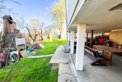 Vila Trivale Pitesti - 10