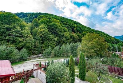 Afacere la cheie - Pensiunea Raiul de pe Râu - Munții Bucegi - 4