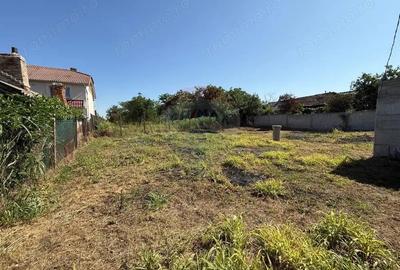 Teren Ghindeni 4800 mp Intravilan - 3