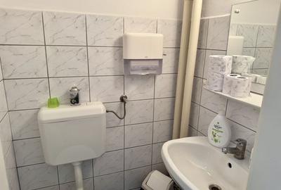 Brâncoveanu  Sp+P+M cu extindere P+1E+M pretabilă afacere - 31