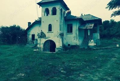 Teren de 53000 mp, în Călinești - 3