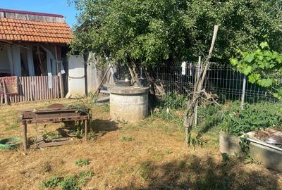 Casa cu gradina si anexe de vanzare, Balta, com. Runcu, Gorj - 7