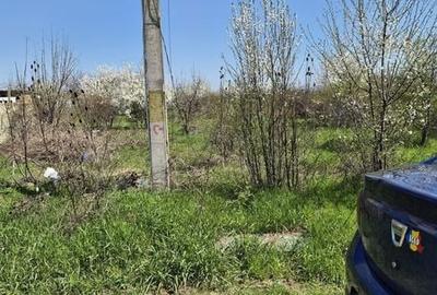Teren de 250 mp, în Mogoșoaia - 2
