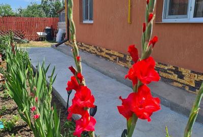 Vand casa la cheie in Judetul Buzau - 3