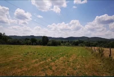 Teren de 18100 mp, în Domnești - 7