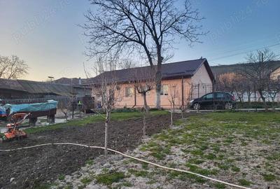 Casă cu 4 camere cu Teren 6000 Mp în Seaca - 9