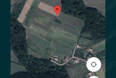 Teren de 2500 mp, în Bercioiu