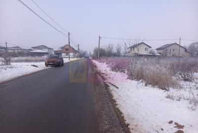 Teren Domnesti 12300 mp de vanzare sau asociere - 4