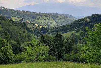 Teren de 7200 mp, în Peștera - 10