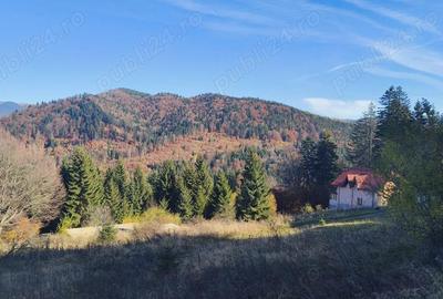 Teren în Central - 6