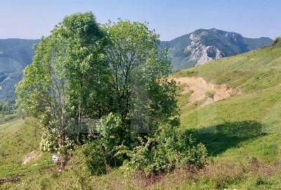 Teren de 3800 mp, în Central - 4