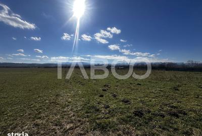 Teren de 2200 mp, în Turnișor