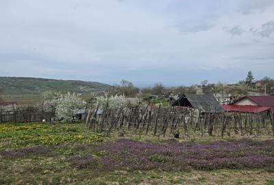 Casă cu 3 camere în Secuieni - 1