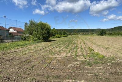 Teren intravilan 7.295 mp – Argeselu, Maracineni, AG - 2