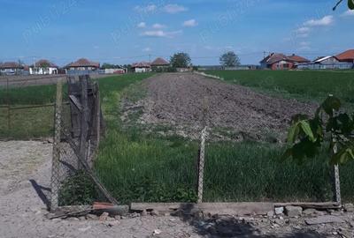 Casă cu 3 camere în Ianoșda - 5