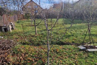 Casa moderna, cu livada, foi?or ?i garaj, Pucioasa, Dambovita - 6