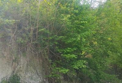 Teren de 2200 mp, în Vlădești - 2