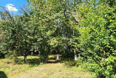 Vila Ialomita -Livedea lac - 6