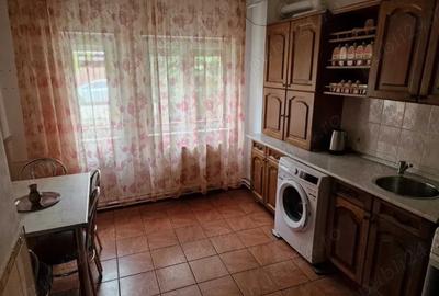 Casă cu 4 camere în Lunei - 2