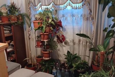 Apartament cu 4 camere decomandat în Dacia - 5