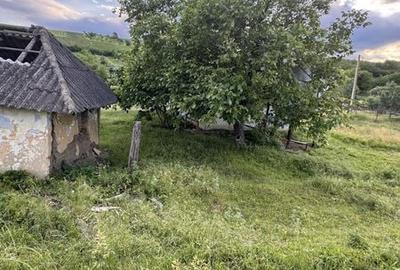 Teren de 6000 mp, în Coarnele Caprei - 3