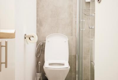 Garsonieră semidecomandată, mobilată în Calea Victoriei - 11