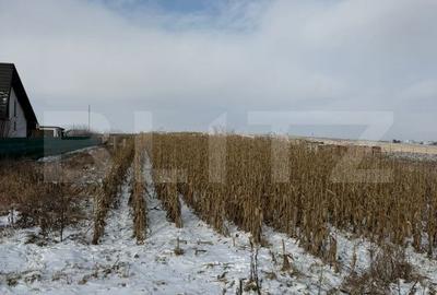 Teren de 3361 mp, în Șcheia