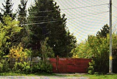 Teren în Pasărea - 1