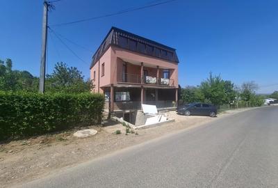 Casă individuală cu 4 camere cu Canalizare în Lunca Cetățuii - 2